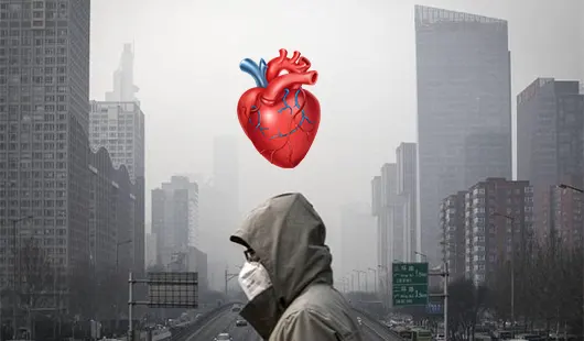 تاثیر الودگی هوا بر قلب تاثیر الودگی هوا بر قلب