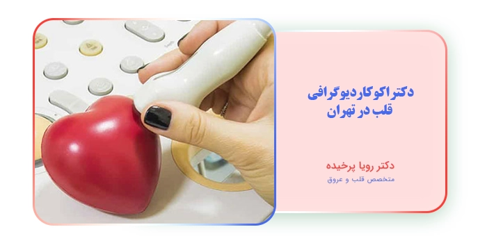 دکتر اکوکاردیوگرافی قلب در تهران